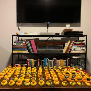 Duck Army