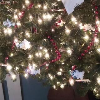 Ornaments