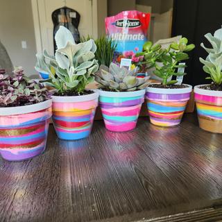Awesome project!!