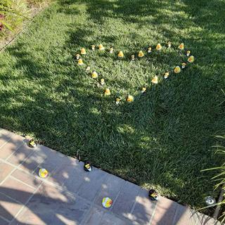 Heart of ducks