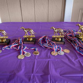 Medals and Trophies ready to be won!