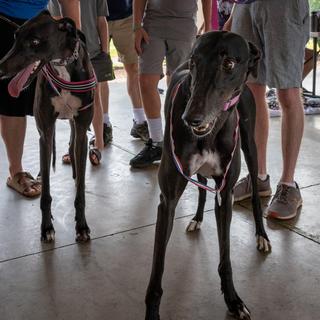 Second place in the twin competition!