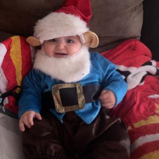 my little gnome 2024