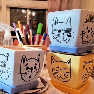 Decided to plant cat grass in a couple of these!