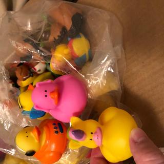 Love our Ducks