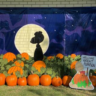 Great Pumpkin backdrop
