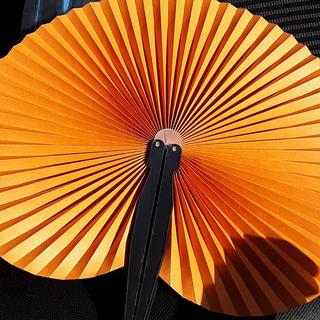 Unfolded and Open