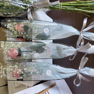 Chocolate roses