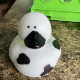 Eyeballs off center