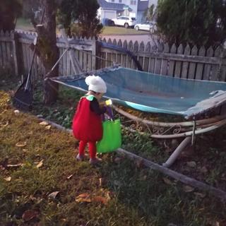 Hunting for repurposed Easter eggs