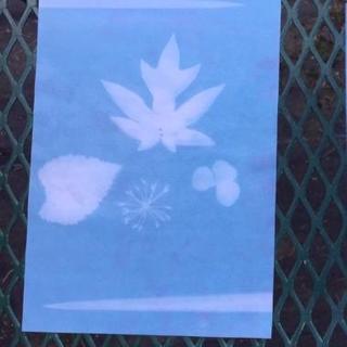 Print 2