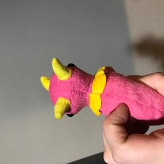 Triceratops 