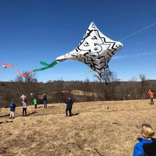 Made and flown in the same afternoon with elementary age children