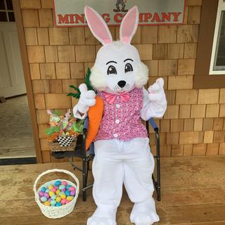 Easter Bunny fun!