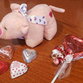Plush Piglet