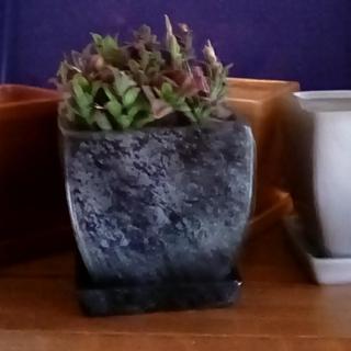 Some of my favorite pots