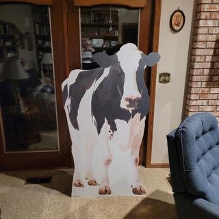 Just hanging out in the family room.