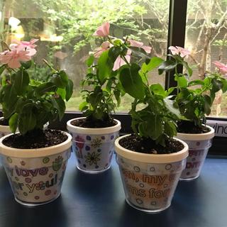 Mother’s Day Science Lesson!!