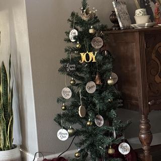 Jesus tree