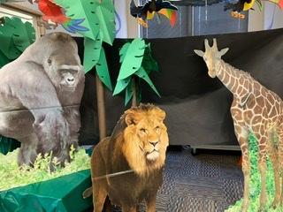 LIONS, GORILLAS AND GIRAFFES! 