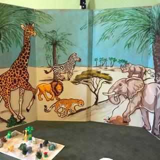Animal safari