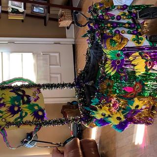 We used all your Mardi Gras products to make our Mardi Gras float !!!