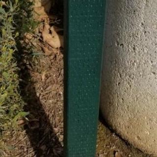 Dog walk path