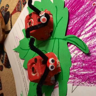 Lady bugs on leaves.