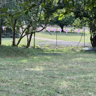 Back yard with 7 foot deer fence, 630 feet with purple pennants on the perimeter.