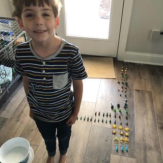 Sorted his Sea Creatures