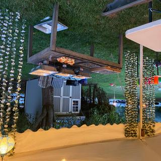 Leis as backdrop