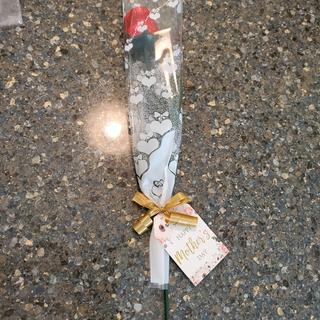Mother's Day appreciation!