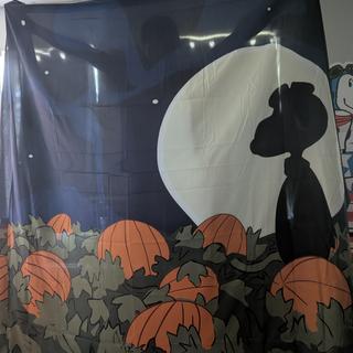 One piece!