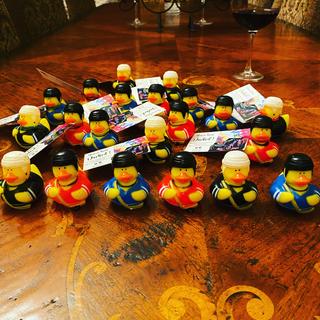 Hockey Ducks
