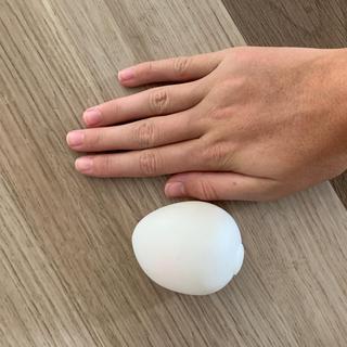 Splat ball compared to hand.