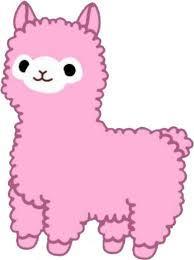 Alpaca