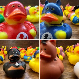 Fun ducks
