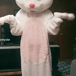 Bunny suit