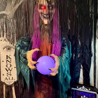 Fortune Teller Animated