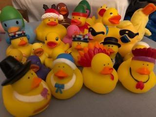 Some of our Flock