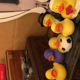 Lucky Duckies!