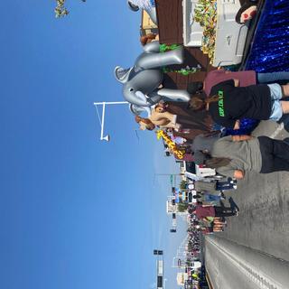 Inflatable Lion,Elephant,