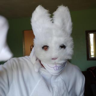 Bunny suit with separate mask