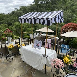 Tabletop Awning