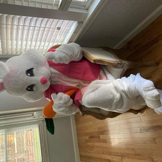 🐰