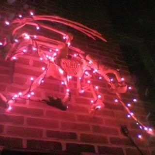 Dragon with Lights