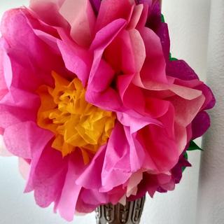 Larger pink with yellow center