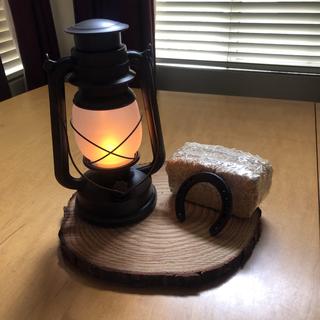 Western Centerpiece