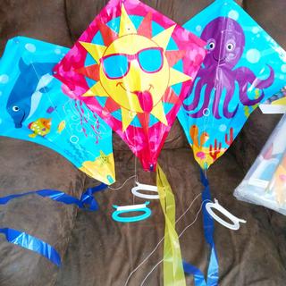 Making Kites