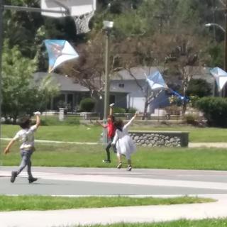 Flying High
